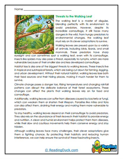 Surviving in the Shadows Worksheet