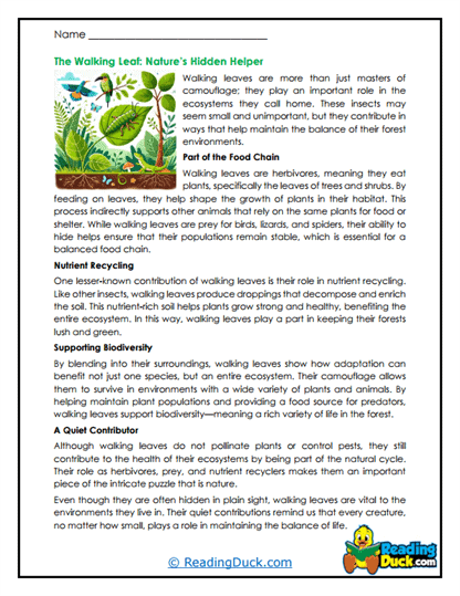Hidden Helpers Worksheet