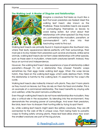The Walking Leaf Worksheet