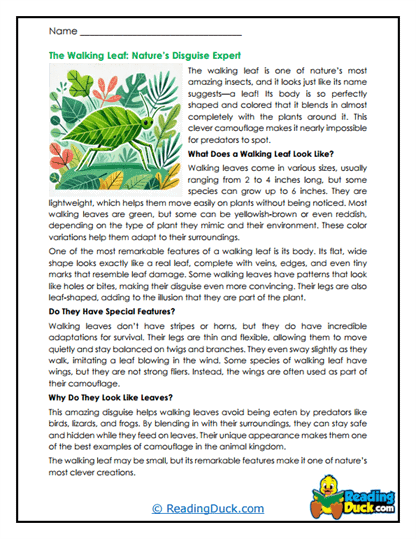 Walking Leaf Reading Comprehension Worksheets