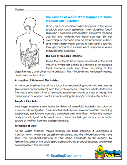 Waste's Journey Worksheet