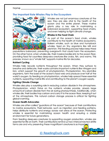 Ocean Role Worksheet