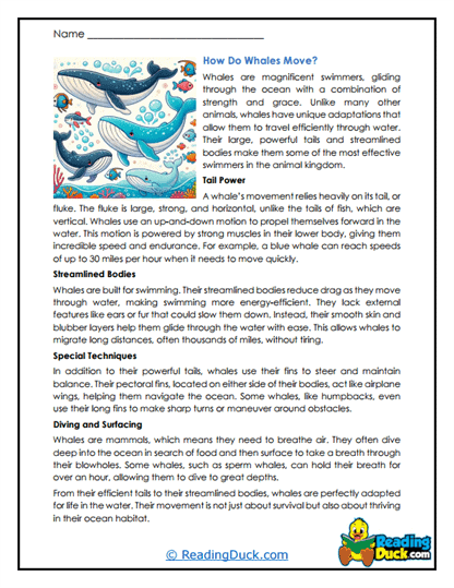 Swimming Secrets Worksheet