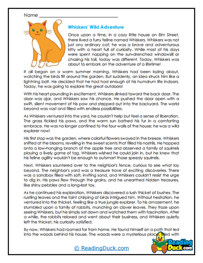Whiskers' Adventure Worksheet