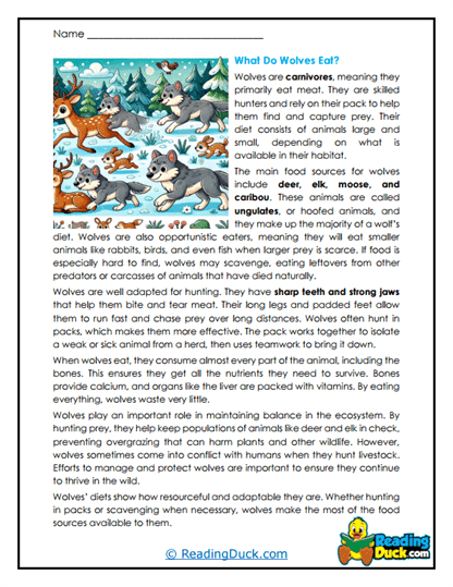 Hunting Habits Worksheet