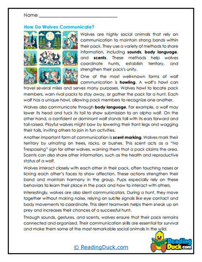 Wild Voices Worksheet