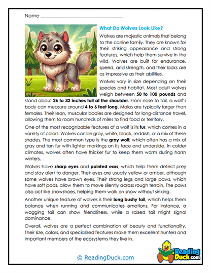 Wolf Worksheets