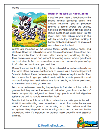 A Wild Stripe Worksheet