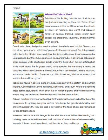 African Homes Worksheet