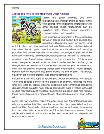 Nature Partners Worksheet