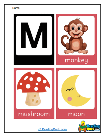Monkey Moon Worksheet