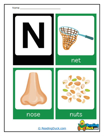 Nose Net Worksheet