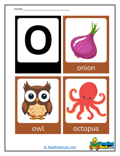 Owl Onion Worksheet
