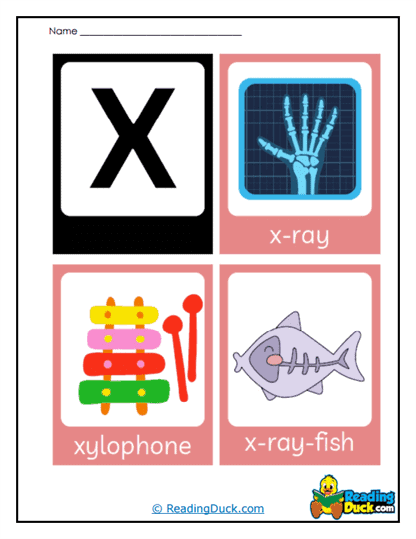 X-ray Xylophone Worksheet