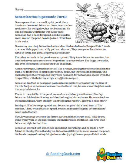 Turtle Turbo Worksheet