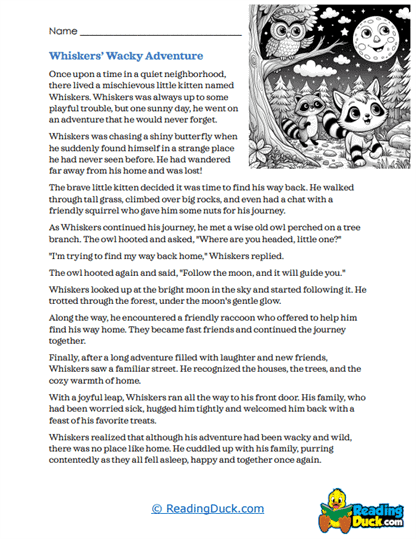 Whiskers' Wacky Journey Worksheet